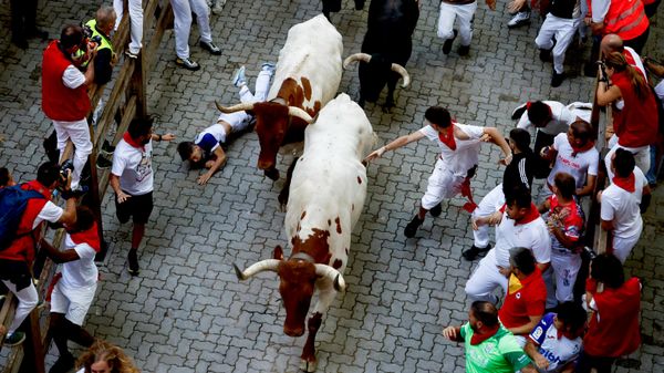 İspanya'daki boğa koşularının bilançosu belli oldı - Sputnik Türkiye