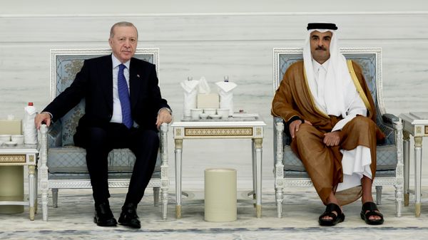 Cumhurbaşkanı Recep Tayyip Erdoğan ve Katar Emiri Şeyh Temim bin Hamed Al Sani - Sputnik Türkiye