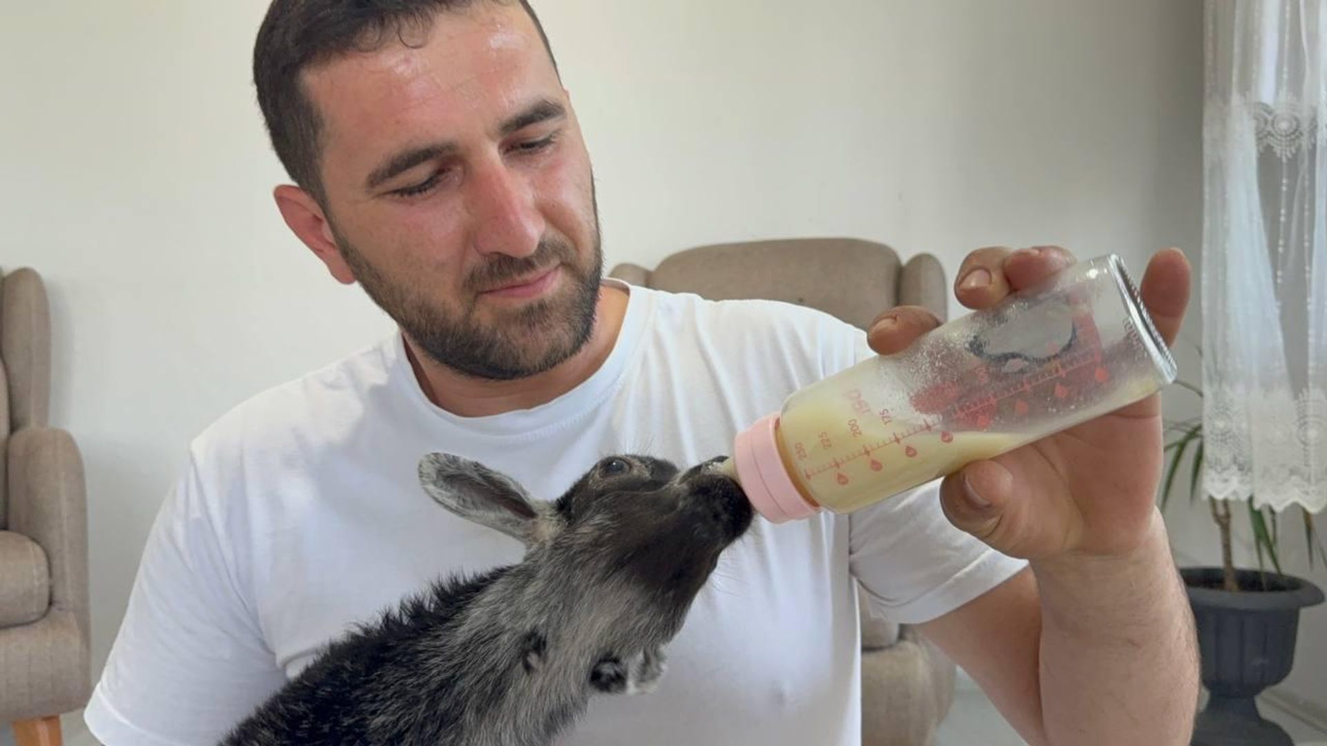 Pet shopa yem almaya giden çift, doğuştan yürüme engelli keçi yavrusunu sahiplendi: Biberonla besliyorlar - Sputnik Türkiye, 1920, 14.07.2026