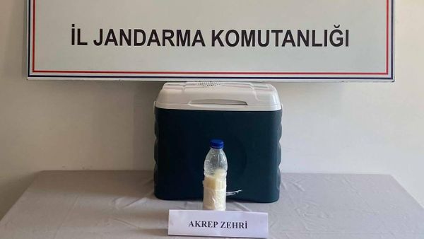 Yalova'da düzenlenen kaçakçılık operasyonunda 500 gram akrep zehri ele geçirildi - Sputnik Türkiye