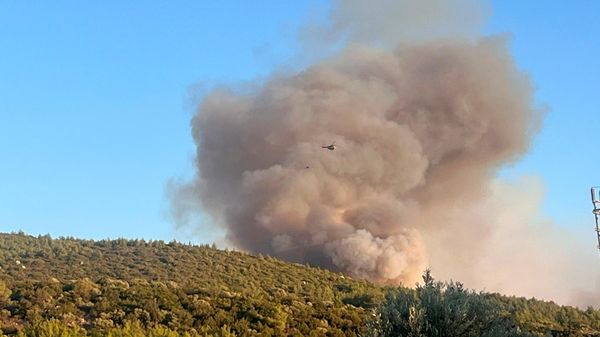 Muğla'nın Milas ilçesinde ormanlık alanda çıkan yangına havadan ve karadan müdahale ediliyor - Sputnik Türkiye