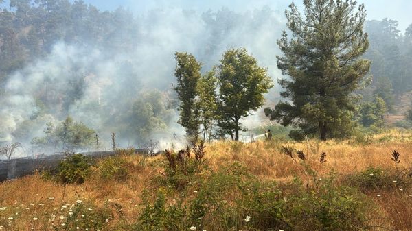 Tarım arazisinde çıkan yangın ormana sıçradı: Bursa'da yangına müdahale ediliyor - Sputnik Türkiye