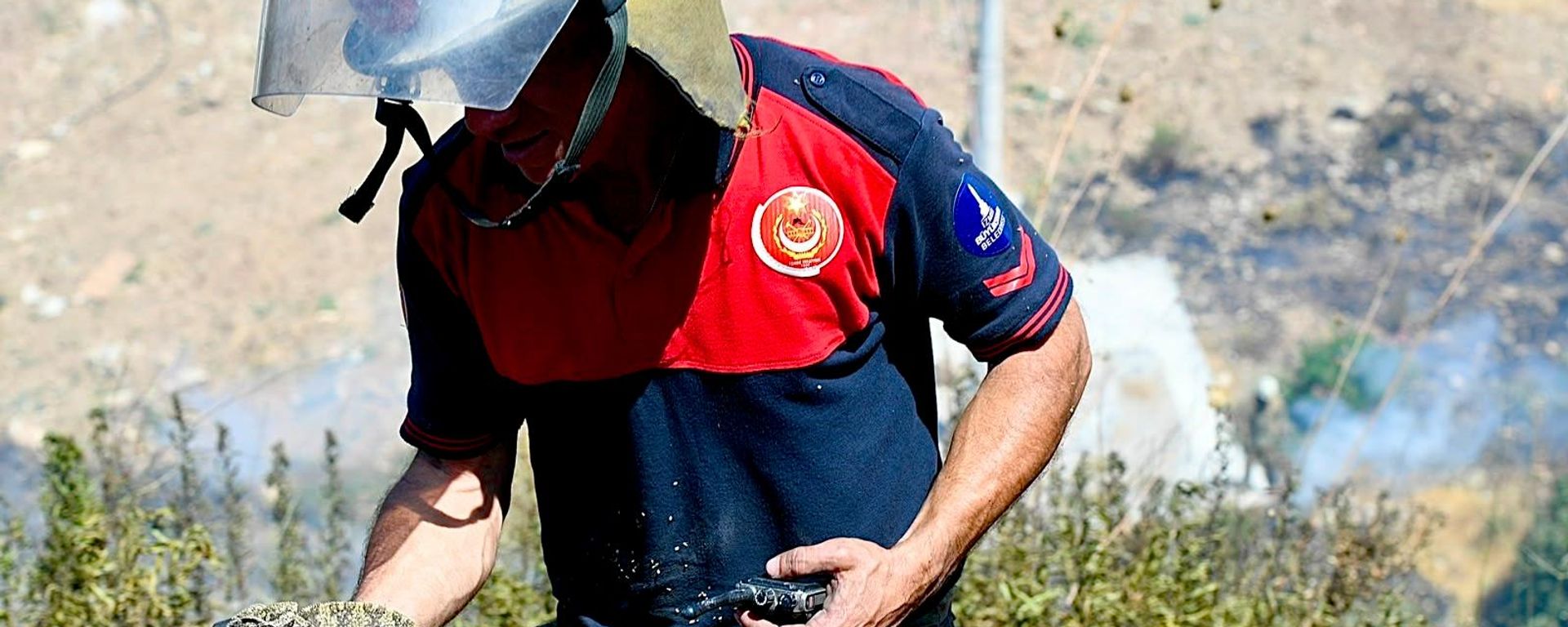 İzmir'deki orman yangınında bitkin düşen bukalemun kurtarıldı - Sputnik Türkiye, 1920, 15.07.2026