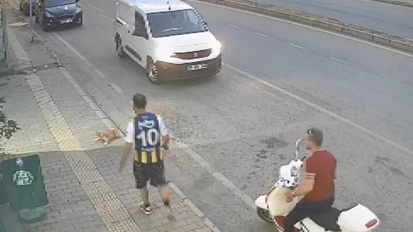 Kediye tekme atan şüpheli - Sputnik Türkiye