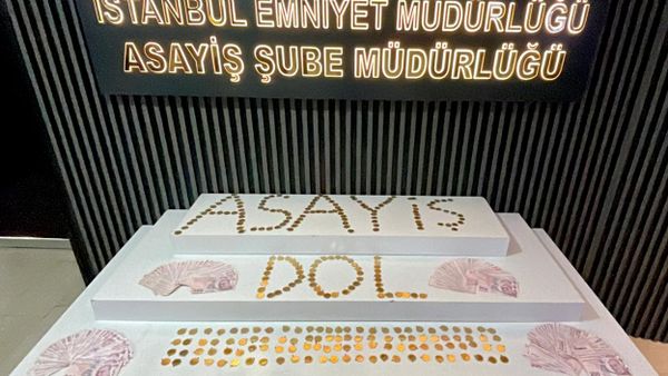 hırsızlık - Sputnik Türkiye