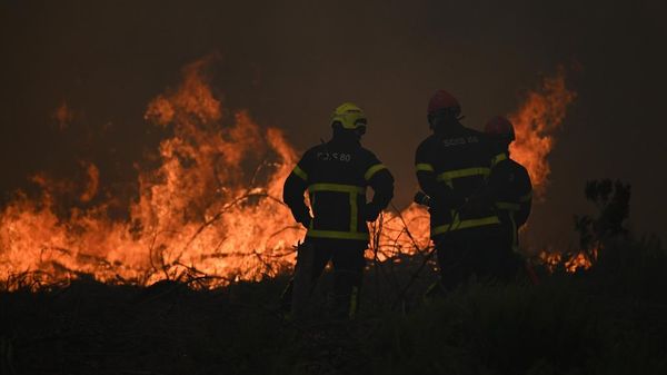 Fransa ve İspanya'da orman yangınlarıyla mücadele. - Sputnik Türkiye