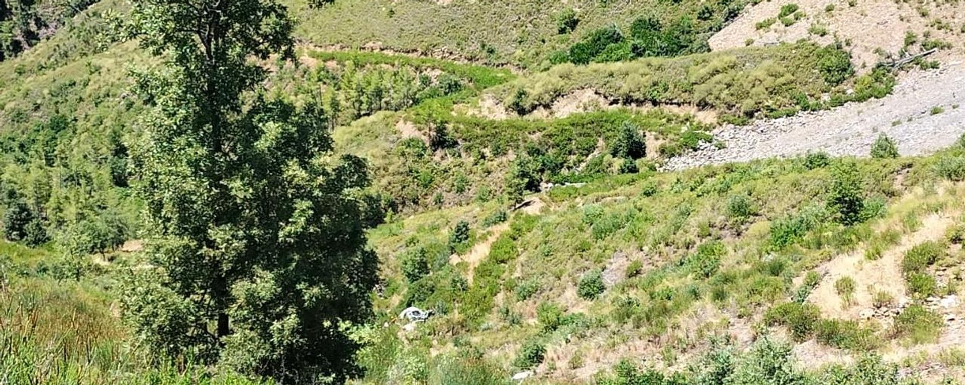 Antalya'da feci kaza: Uçuruma yuvarlanan otomobilde 5 kişi hayatını kaybetti - Sputnik Türkiye, 1920, 26.07.2026