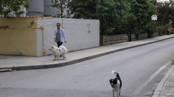 Mahkemeden trafik kazasında ölen 'Gofret' için emsal karar - Sputnik Türkiye
