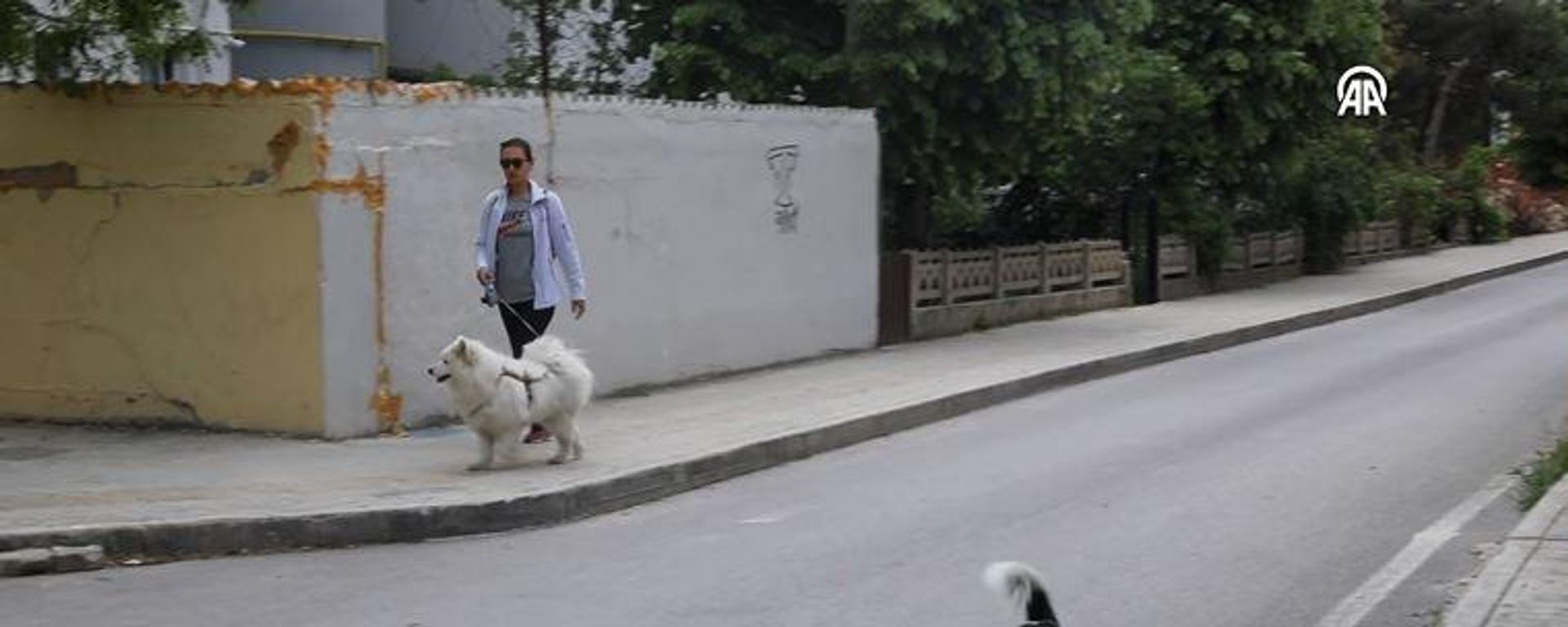 Mahkemeden trafik kazasında ölen 'Gofret' için emsal karar - Sputnik Türkiye, 1920, 28.07.2026