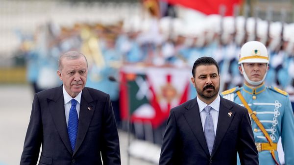 Erdoğan ve Ali Zeydi - Sputnik Türkiye