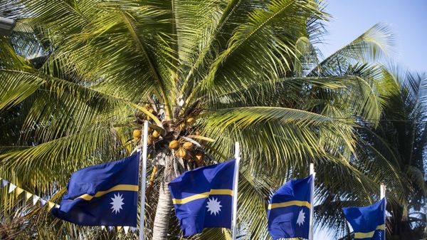 National flags of Nauru. - Sputnik Türkiye