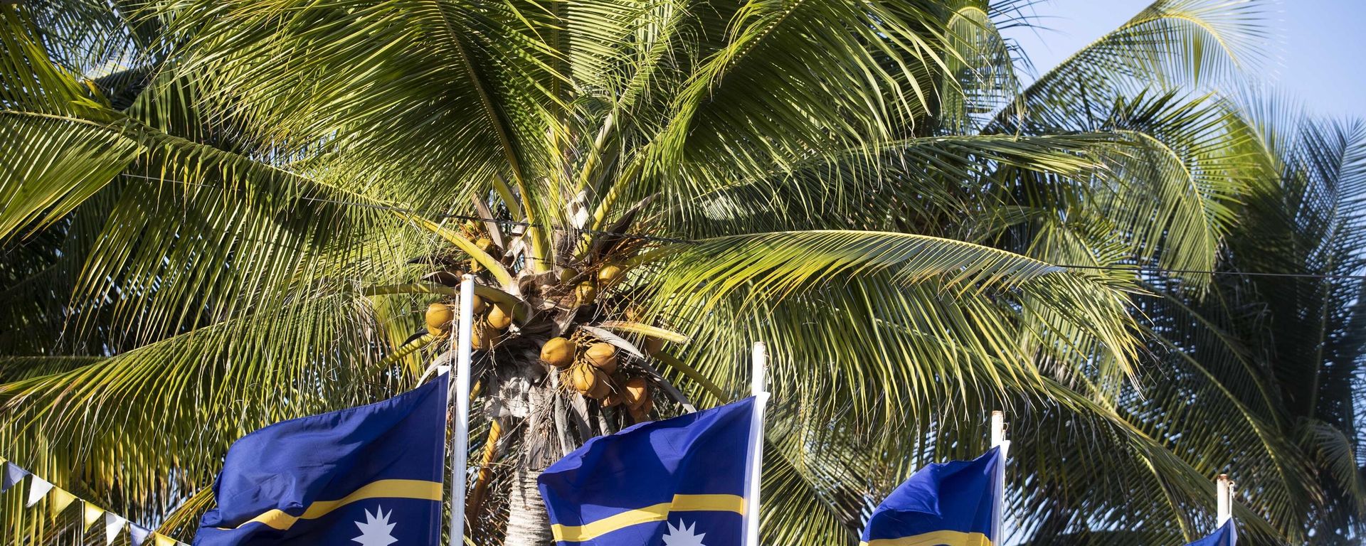 National flags of Nauru. - Sputnik Türkiye, 1920, 31.07.2026