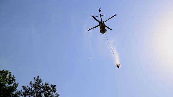 Muğla orman yangını - Sputnik Türkiye