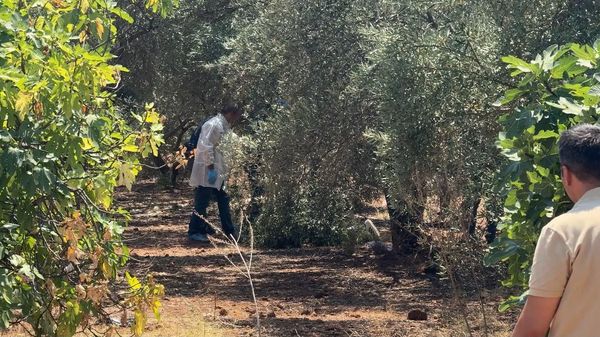 Antalya'nın Kepez ilçesindeki zeytinlik alanda, elleri arkadan bağlı halde olan bir genç ölü olarak bulundu - Sputnik Türkiye