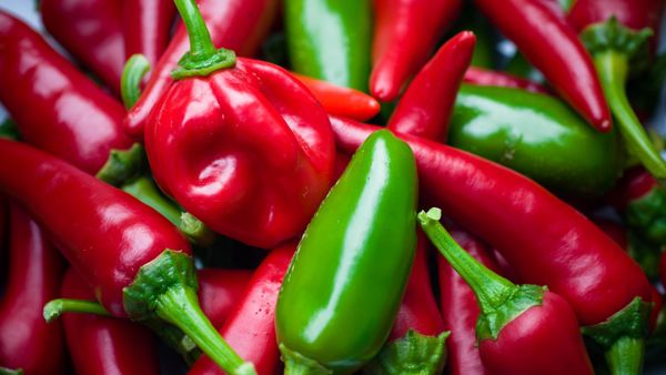 ABD'de salmonella alarmı: Jalapeno biberleri nedeniyle 27 eyalette 345 kişi hastalandı - Sputnik Türkiye
