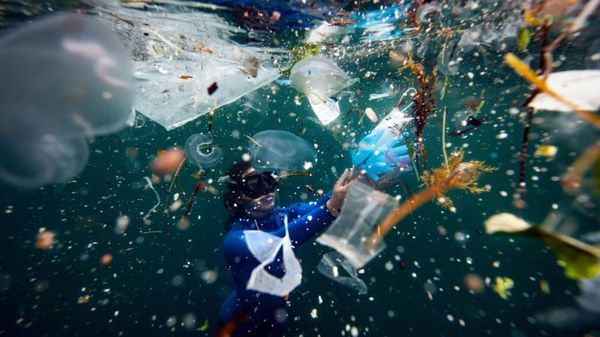 deniz kirliliği - Sputnik Türkiye