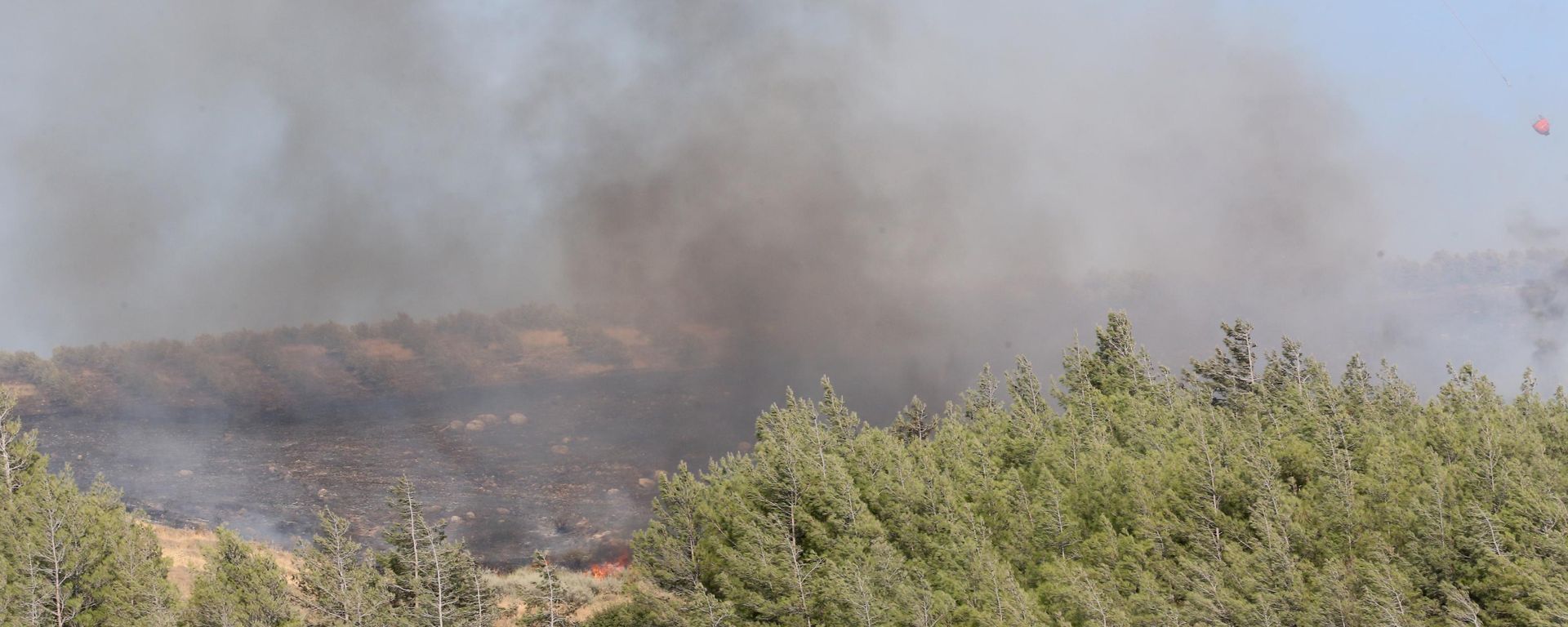 Hatay'da orman yangını - Sputnik Türkiye, 1920, 10.08.2026