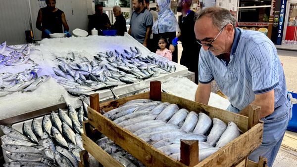 sinop balık avı - Sputnik Türkiye