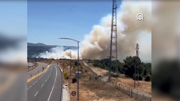 Çanakkale orman yangını - Sputnik Türkiye