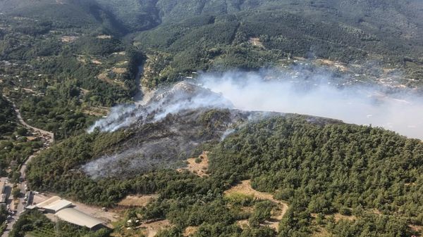 Bursa'da 3 farklı noktada yangın çıktı - Sputnik Türkiye