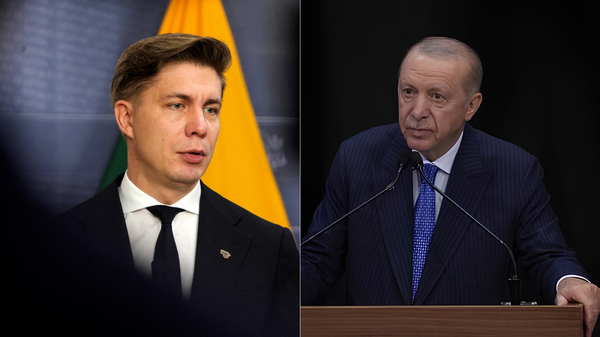 Litvanya Başbakanı Sinkevicius ve Cumhurbaşkanı Erdoğan - Sputnik Türkiye