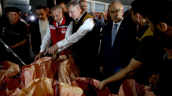 fındık  - Sputnik Türkiye