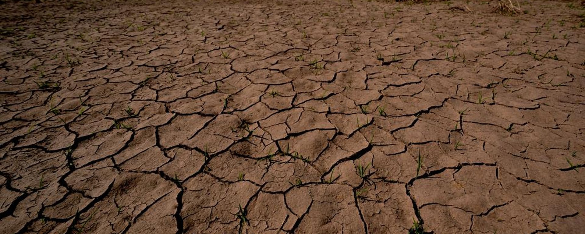 El Nino kuraklık - Sputnik Türkiye, 1920, 27.08.2026