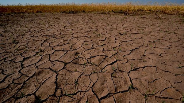 El Nino kuraklık - Sputnik Türkiye