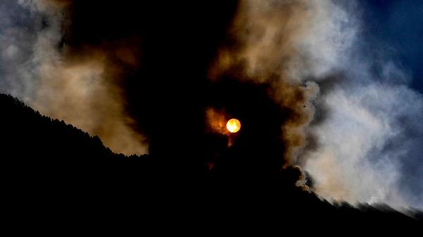 Kolombiya'da çıkan yangın 50 bin hektarı kül etti - Sputnik Türkiye