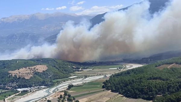 Muğla’da başlayan orman yangını Antalya’ya sıçradı: Ekipler müdahale ediyor - Sputnik Türkiye