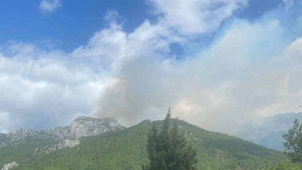 Antalya'nın Manavgat ilçesinde Düzağaç Mahallesi Ayrancı mevkisindeki yayla alanında henüz belirlenemeyen nedenle yangın çıktı - Sputnik Türkiye
