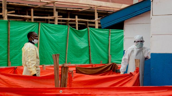 Demokratik Kongo Cumhuriyeti'nde Ebola salgını yayılıyor: Eyalet sayısı 7'ye çıktı - Sputnik Türkiye