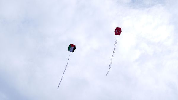 İstanbul'da Gazzeli çocuklar için gökyüzüne uçurtmalar bırakıldı - Sputnik Türkiye