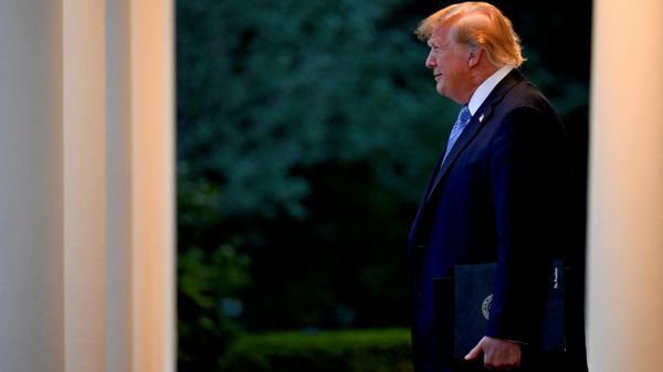 Donald Trump - Sputnik Türkiye