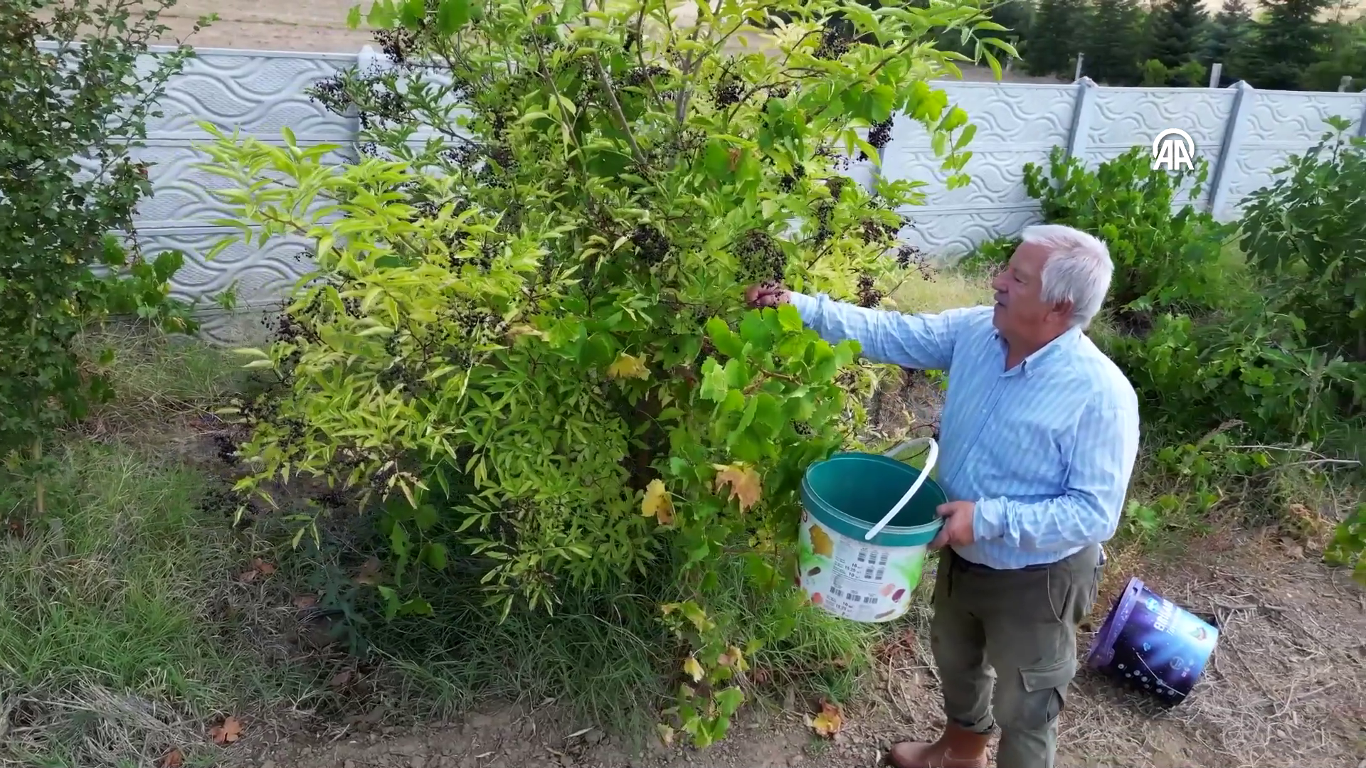 Afyonkarahisar  - Sputnik Türkiye, 1920, 23.09.2026
