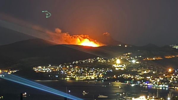 Muğla'nın Bodrum ilçesinde makilik alanda çıkan yangına karadan müdahale ediliyor - Sputnik Türkiye