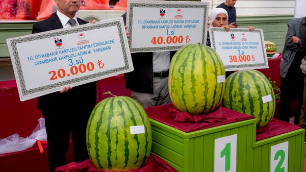 Diyarbakır'da 47 kilo 900 gramlık karpuz birinci oldu - Sputnik Türkiye
