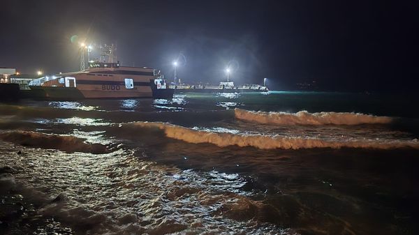 Bursa Deniz Otobüsleri (BUDO) - Sputnik Türkiye