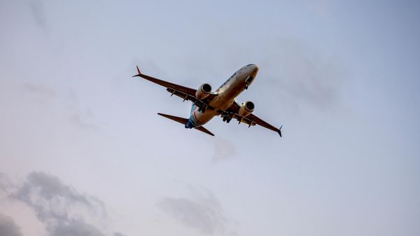 flydubai uçağı - Sputnik Türkiye