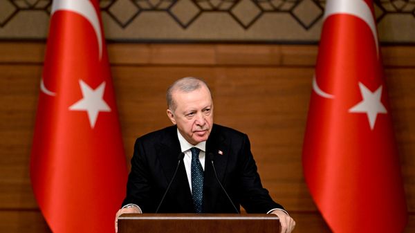 Cumhurbaşkanı Erdoğan - Sputnik Türkiye