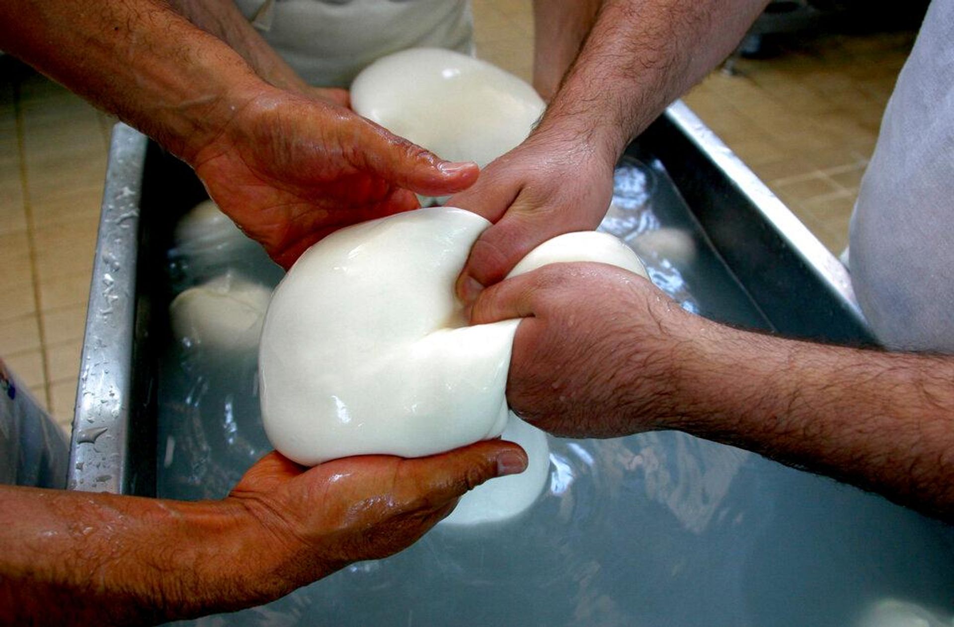 İtalya'da mozarella krizi - Sputnik Türkiye, 1920, 23.10.2026