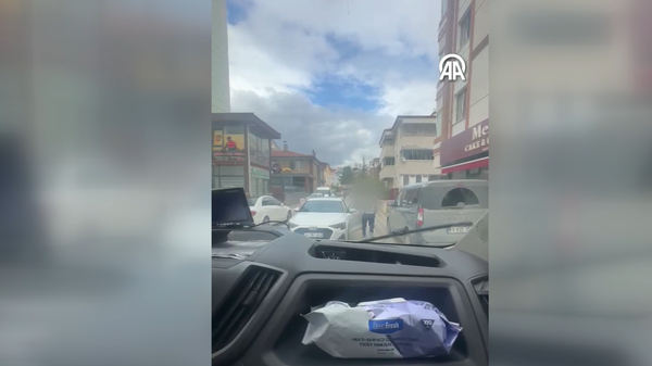 Tokat  - Sputnik Türkiye