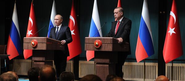 Erdoğan- Putin görüşmesi - Sputnik Türkiye