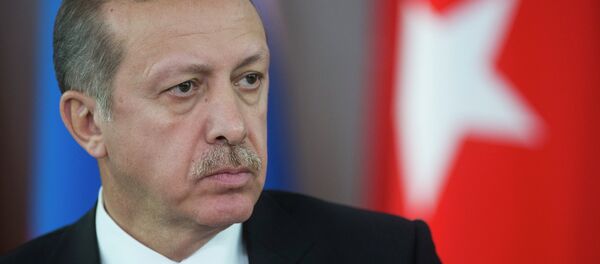 Türkiye Cumhurbaşkanı Recep Tayyip Erdoğan - Sputnik Türkiye