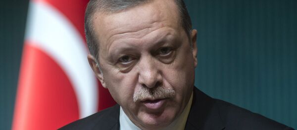 Türkiye Cumhurbaşkanı Recep Tayyip Erdoğan - Sputnik Türkiye