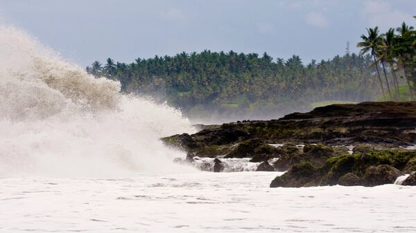 Tsunami - Sputnik Türkiye