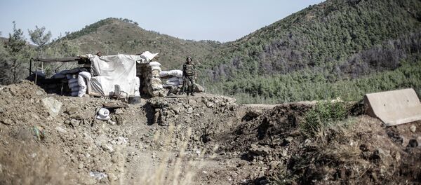 Suriye Asker Dağlar - Sputnik Türkiye