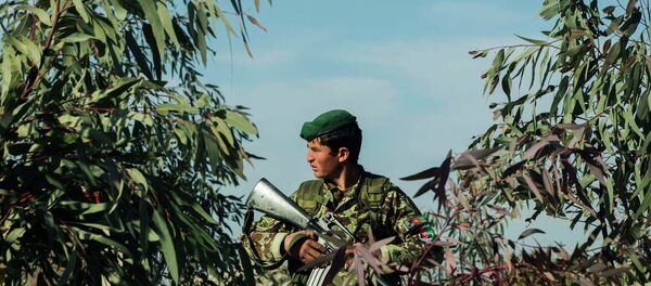 Afganistan ordusundan bir asker - Sputnik Türkiye