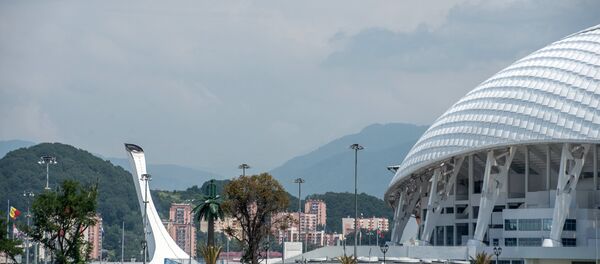 Soçi olimpiyat tesisleri. Soçi, şehir - Sputnik Türkiye