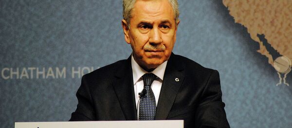 Türkiye Başbakan Yardımcısı Bülent Arınç - Sputnik Türkiye